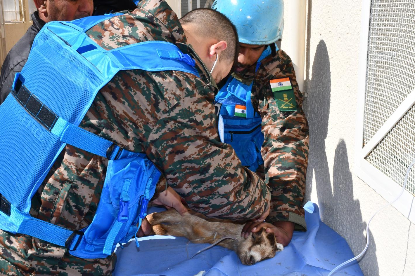 A peacekeeper attending to the medical needs of an animal