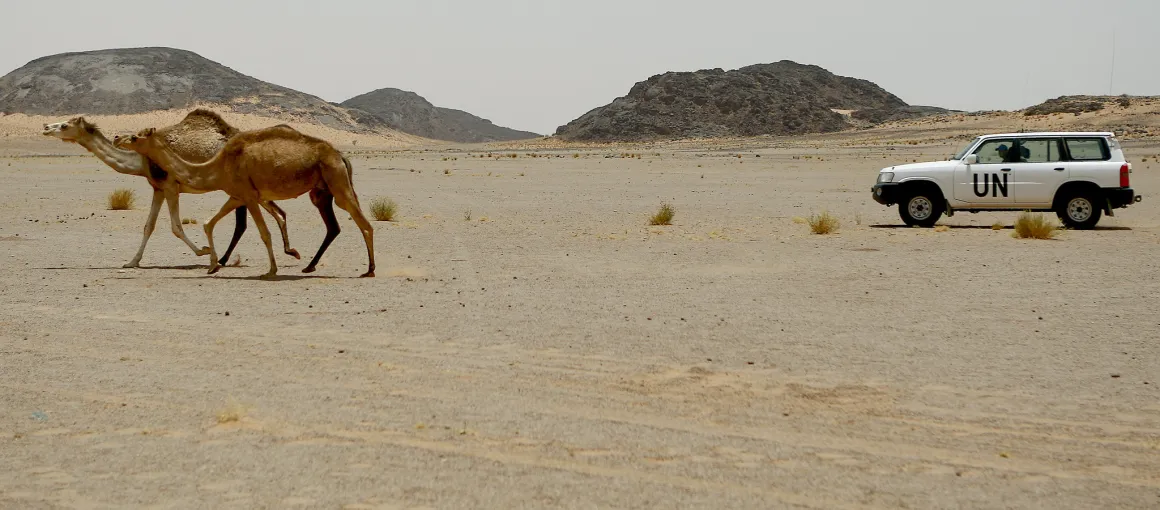 MINURSO Team on Patrol in Western Sahara A UN vehicle drives through the desert, passing two camels