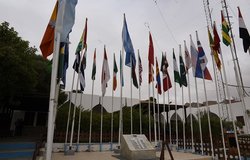 MINURSO celebrates UN Peacekeepers Day